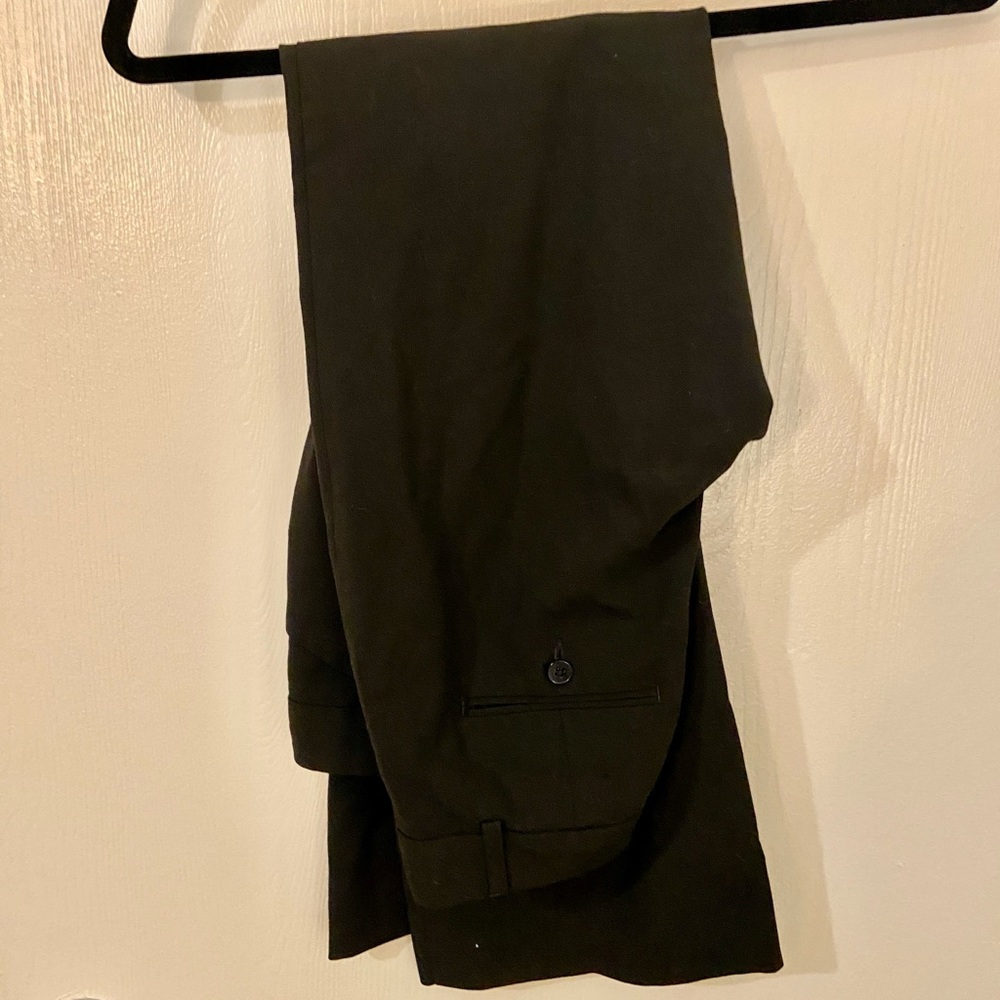 Express Dress Pants